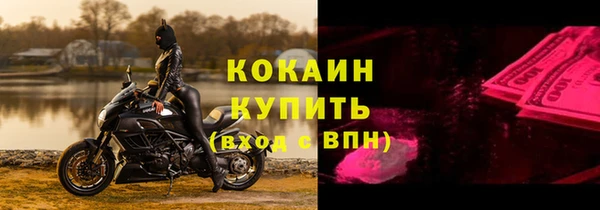 хмурый Алзамай