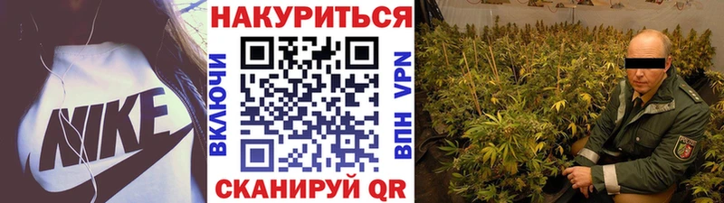 Шишки марихуана план  Кола 